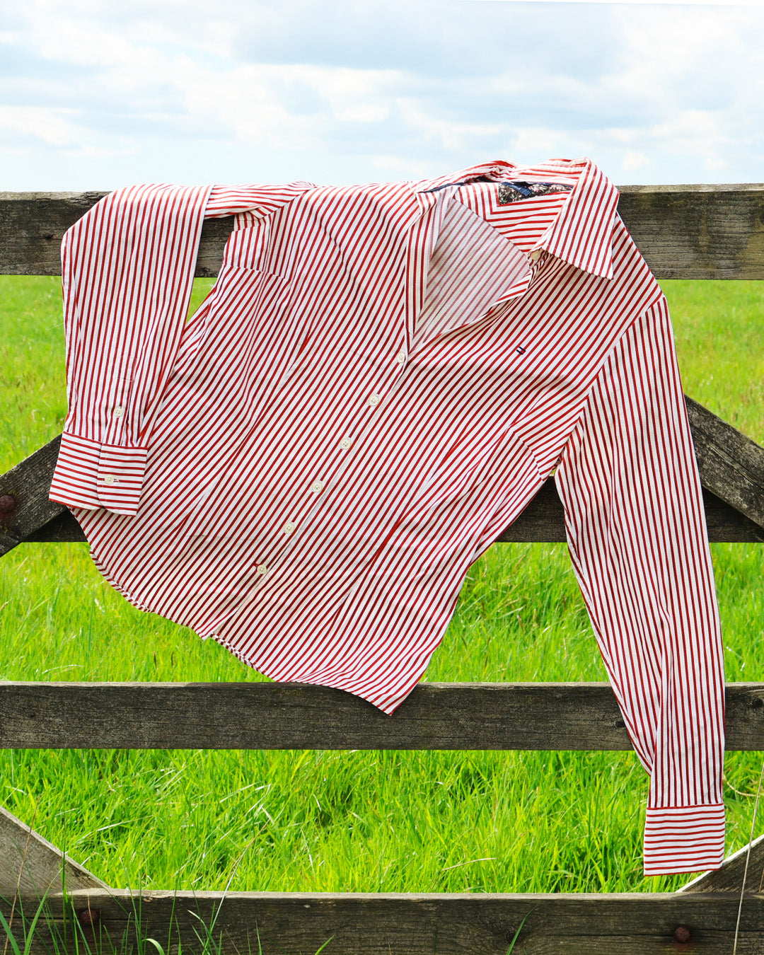 Women's Shirts