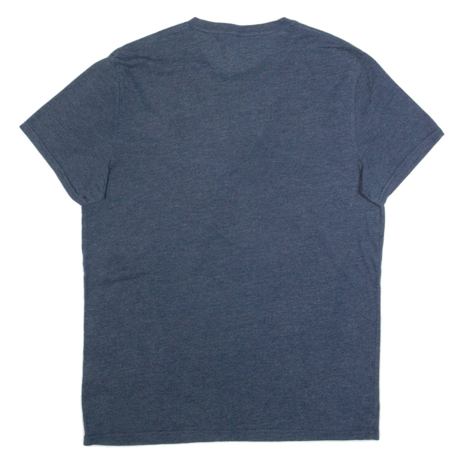 HOLLISTER Mens T-Shirt Blue M