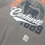 CARHARTT Boys Beige Hunting Is My Sport Pullover Hoodie XL