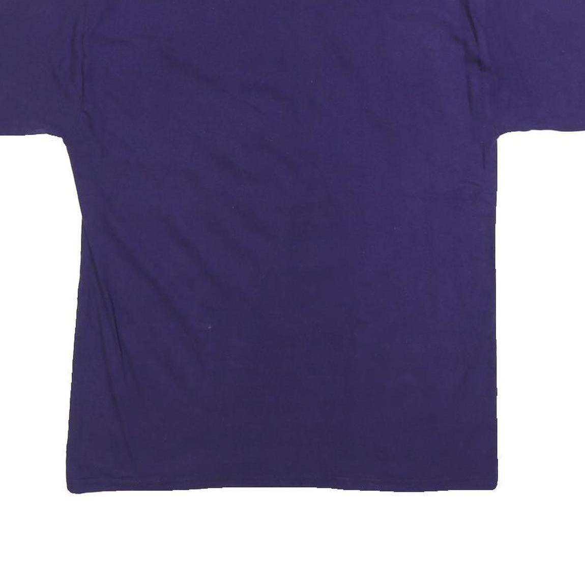 CHAMPION Mens Blue San Francisco State University Alumni Graphic T-Shirt M Short