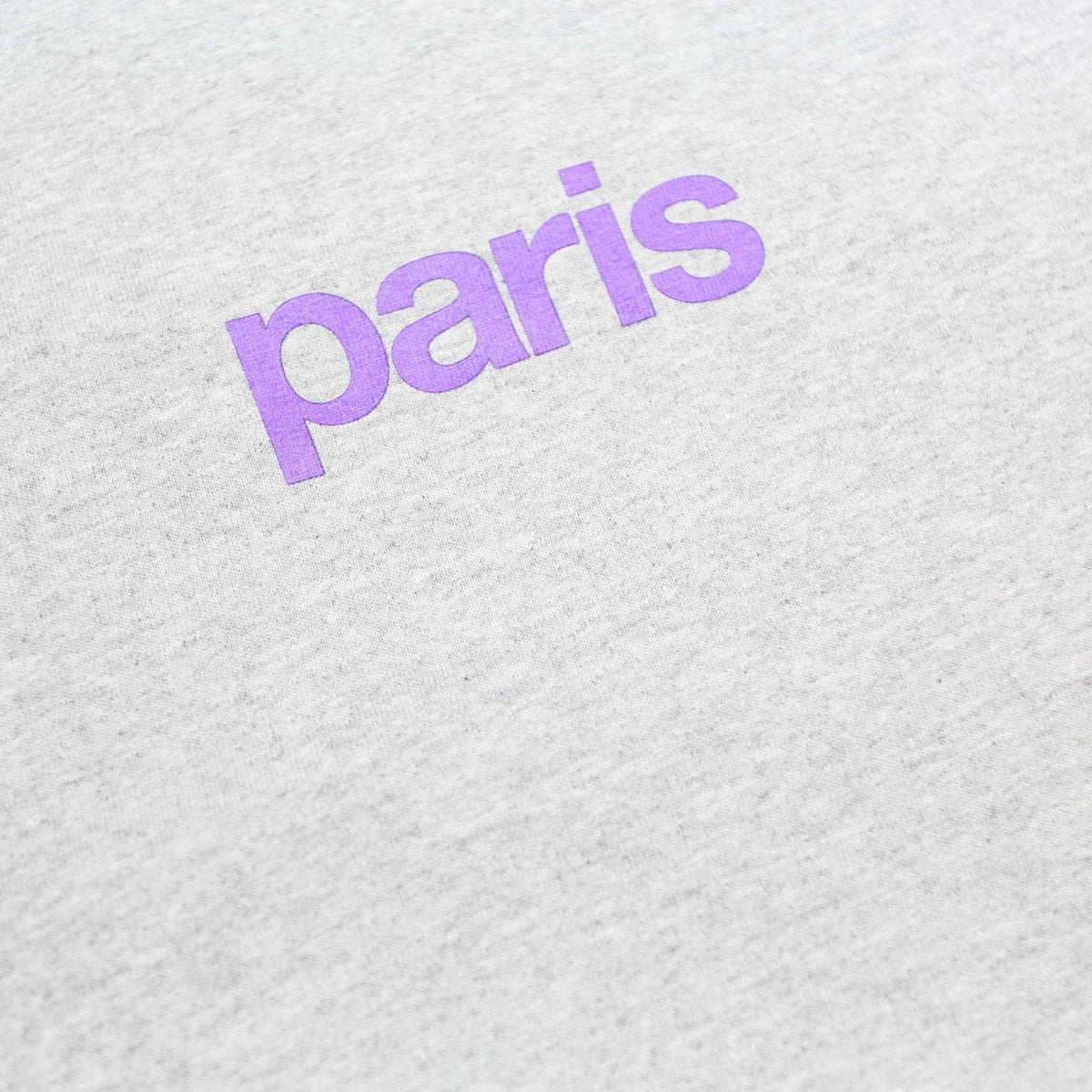 ANTI SOCIAL SOCIAL CLUB Mens Grey & Purple Paris Graphic T-Shirt S Short Sleeve