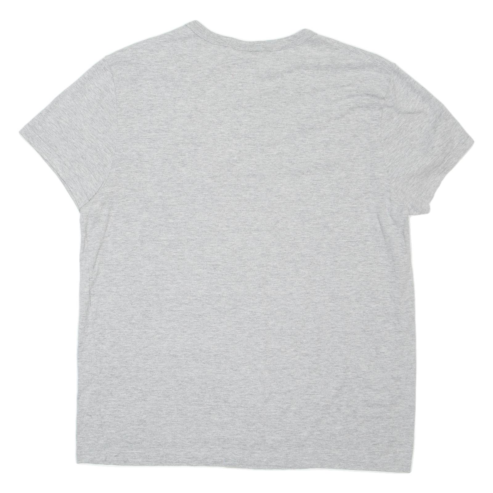 CHAMPION Womens T-Shirt Grey L