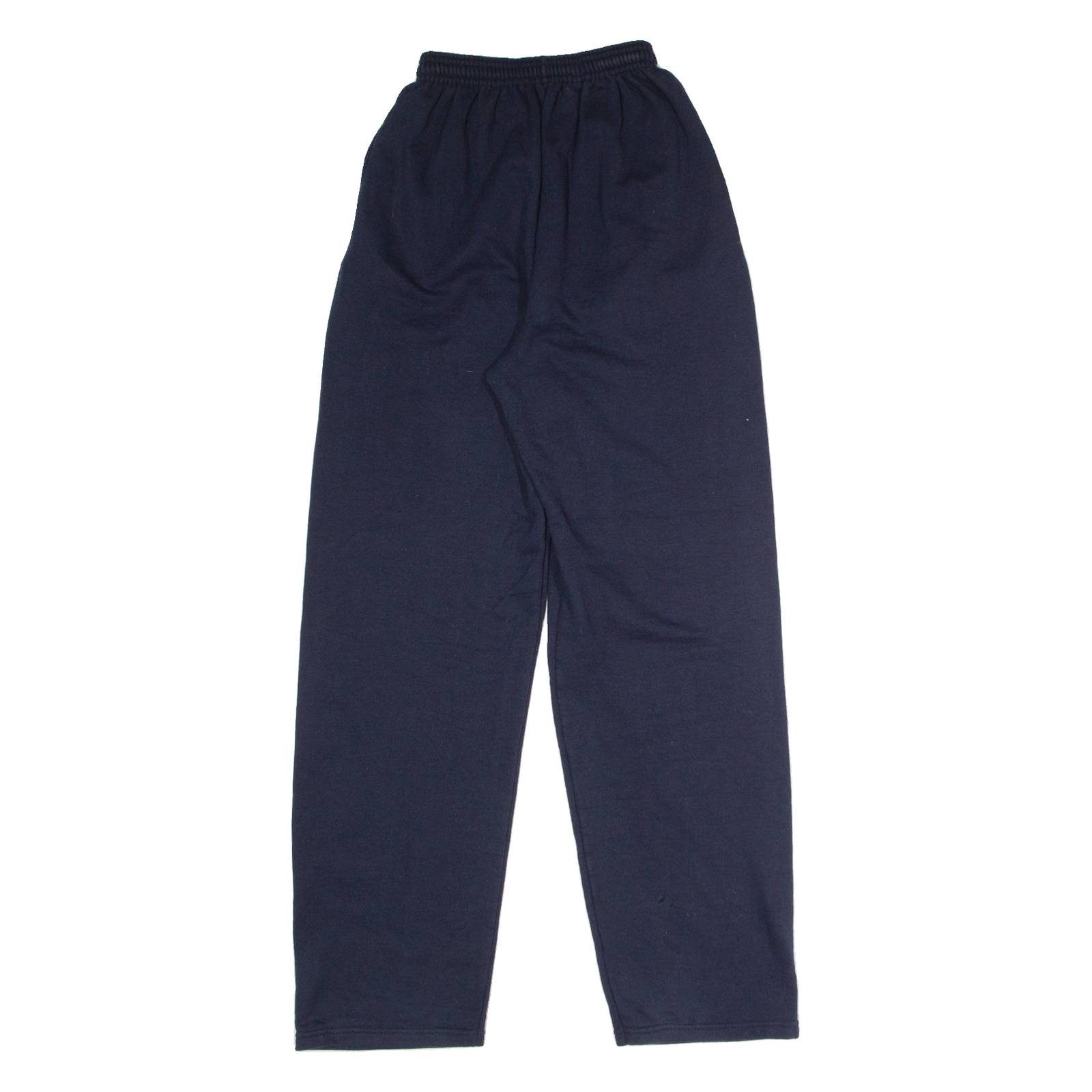 CHAMPION Wayne Country College District Womens Joggers Blue Straight S W20 L30