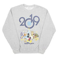 DISNEY Mens Grey 2019 Walt Disney World Crew Neck M Cotton Blend Sweatshirt