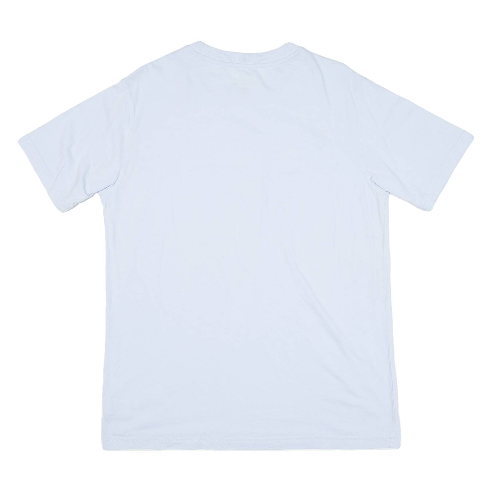CHAMPION Mens T-Shirt Blue M