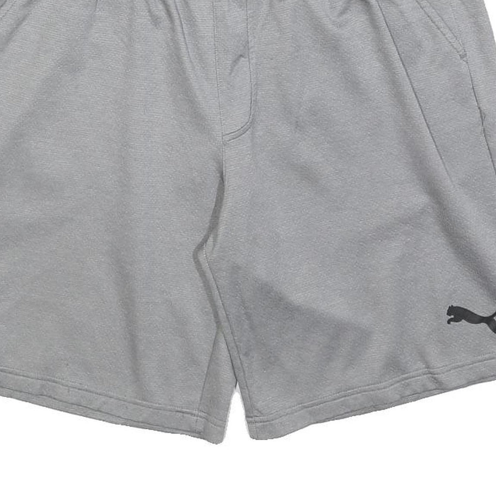 PUMA Mens Shorts Grey Casual L W32 Polyester Blend Comfortable Sportswear