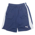 PUMA Mens Sports Shorts Blue Relaxed L W29