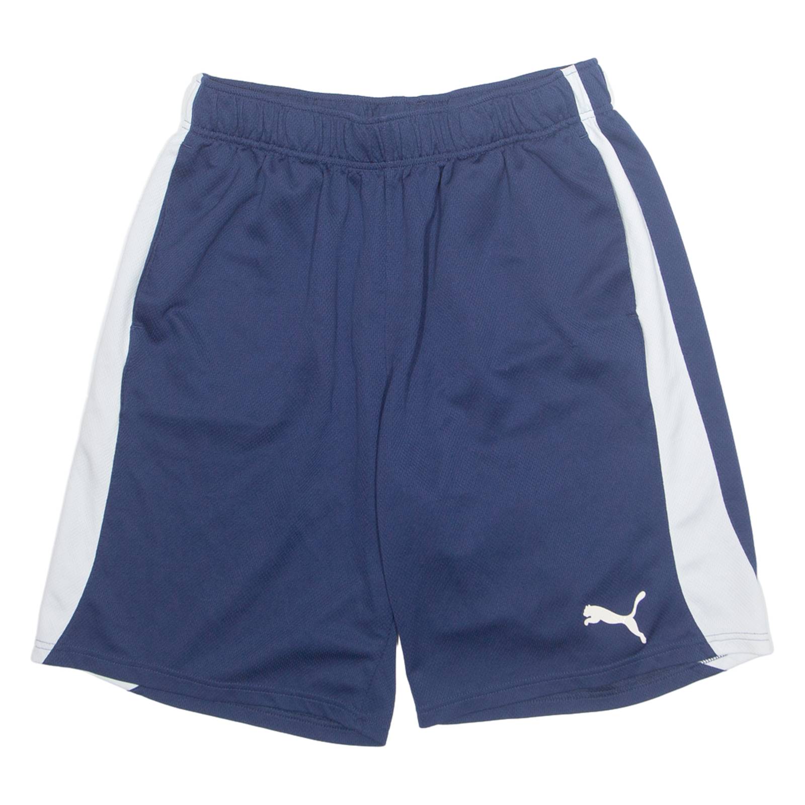 PUMA Mens Sports Shorts Blue Relaxed L W29