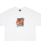 STUSSY Berries Mens White Graphic T-Shirt M Short Sleeve Crew Neck Cotton