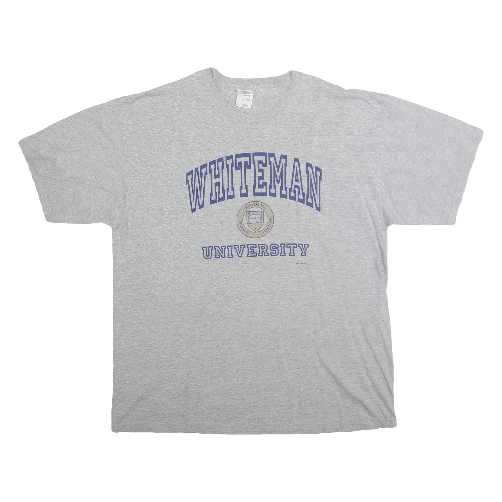 GILDEN Mens Grey Whiteman University Graphic T-Shirt XL Short Sleeve Crew Neck