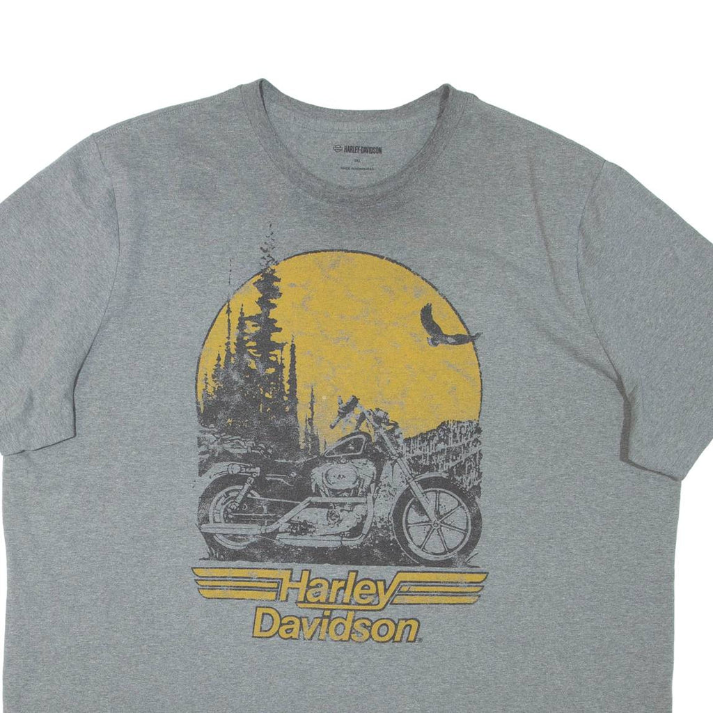 HARLEY DAVIDSON Mens T-Shirt Grey 3XL