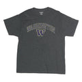 CHAMPION Mens Grey Washington Graphic T-Shirt L Short Sleeve Crew Neck Cotton