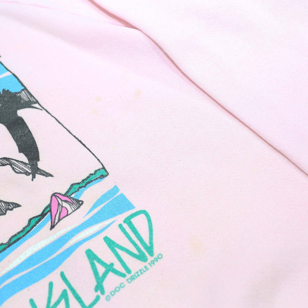 FRUIT OF THE LOOM Womens Pink Sun Sky & Sail San Juan Island Crew Neck L Printed