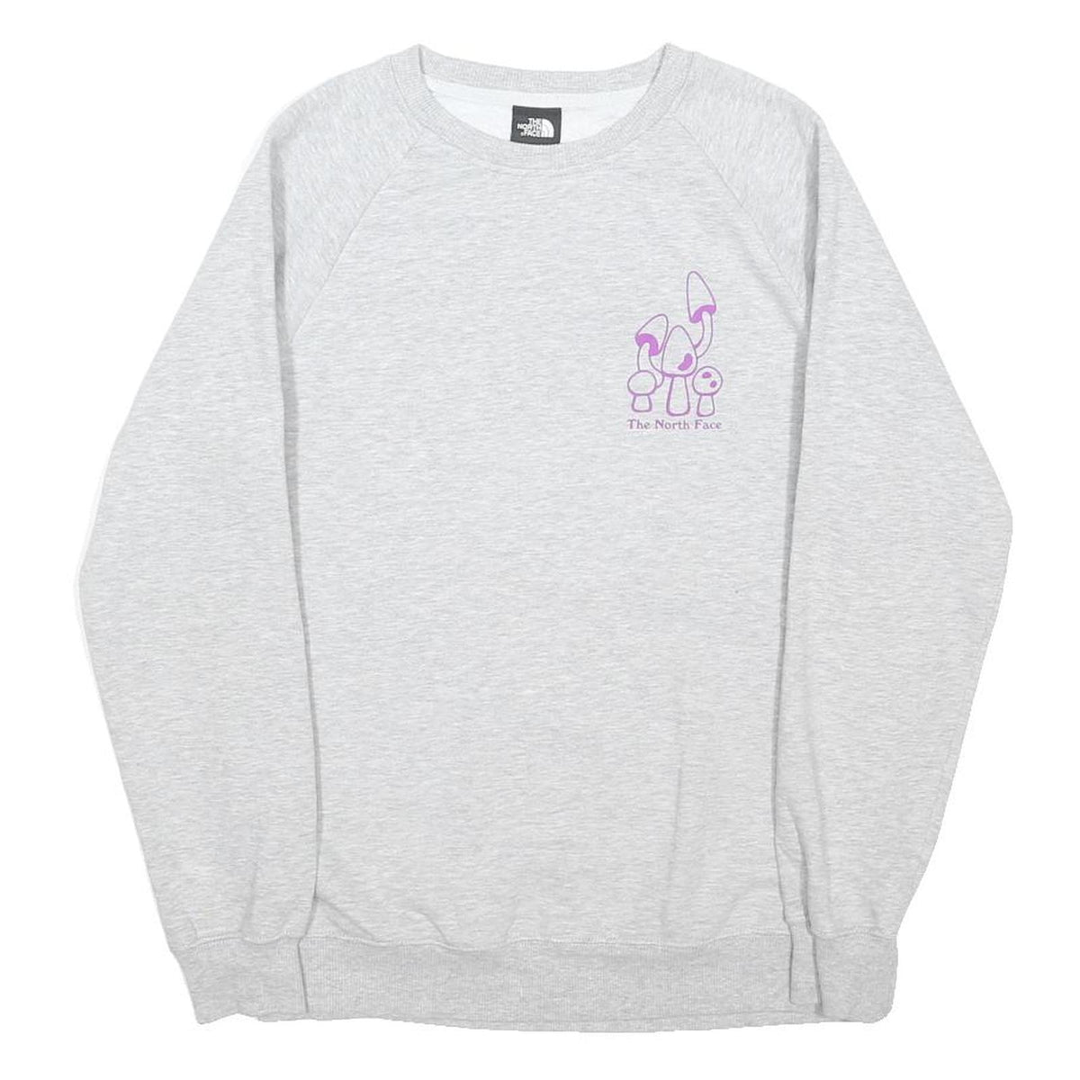 THE NORTH FACE Womens Grey Sweatshirt XS Purple Camp Graphic Crew Neck Casual