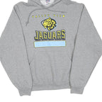 Mens Grey Valley View Jaguars Cotton Pullover Hoodie S Graphic Print Casual
