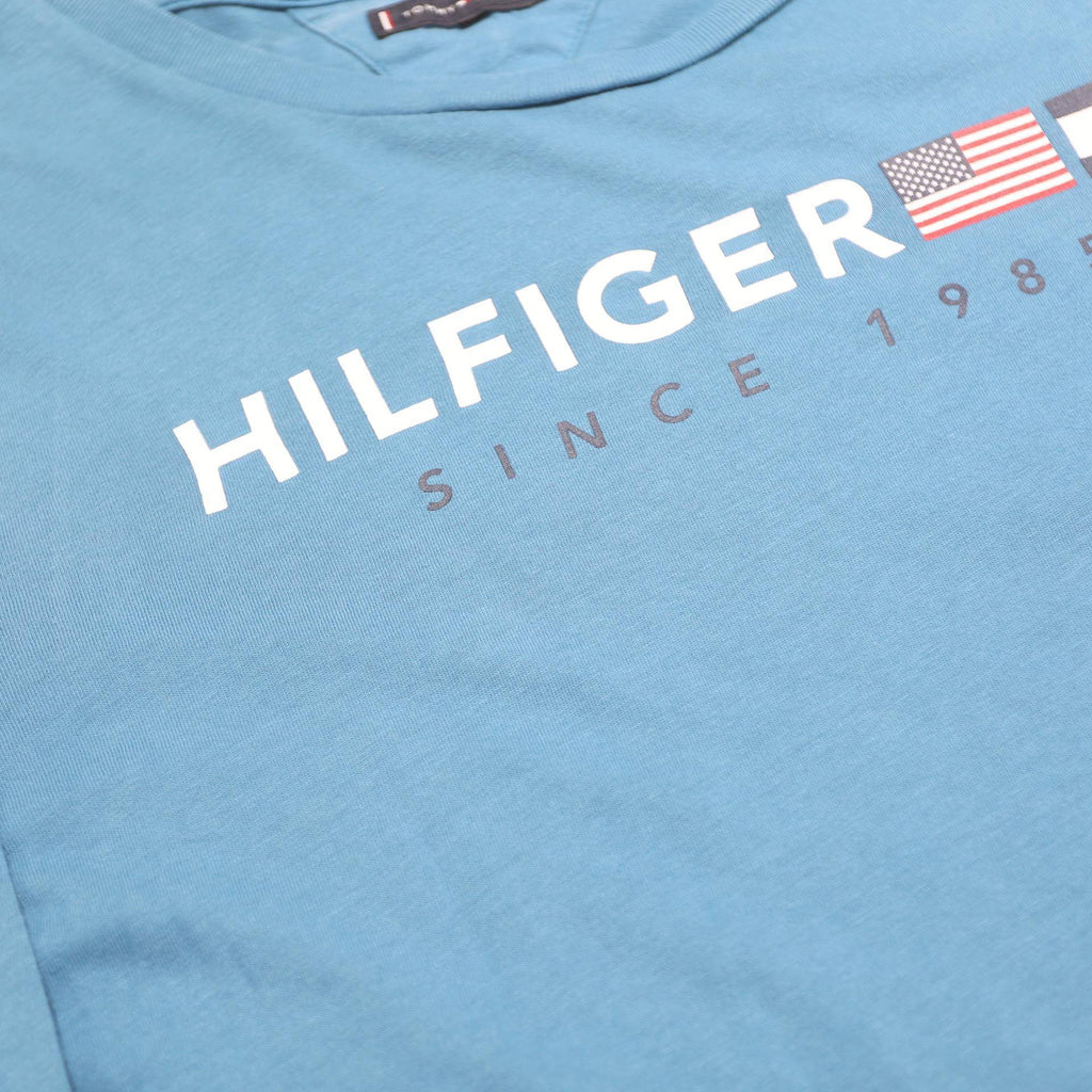 TOMMY HILFIGER Mens Blue Long Sleeve Crew Neck T-Shirt S Hilfiger Print Cotton
