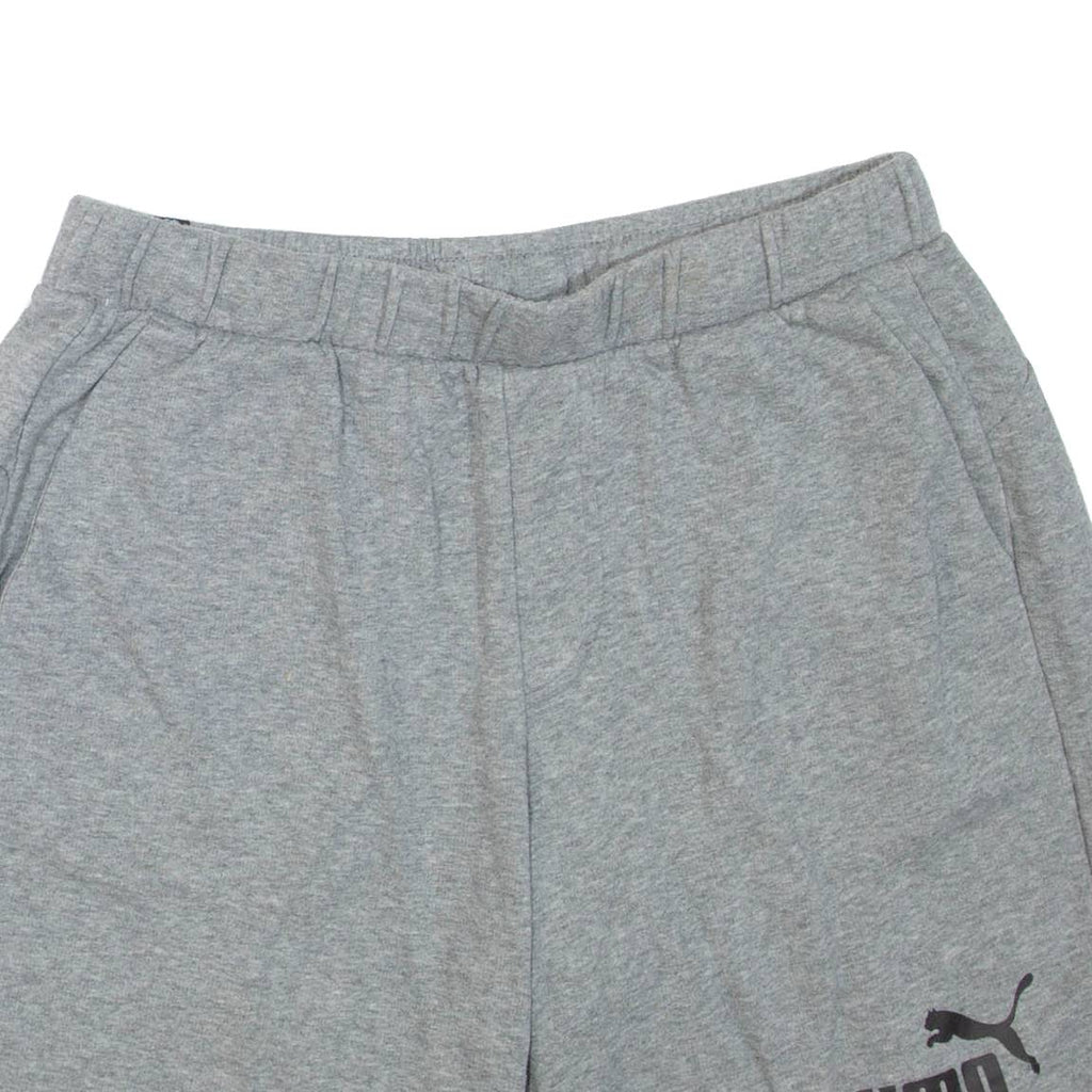 PUMA Mens Casual Shorts Grey L W32