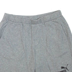 PUMA Mens Casual Shorts Grey L W32