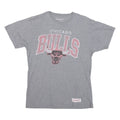 MITCHELL & NESS Chicago Bulls Mens T-Shirt Grey USA M