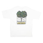 CONVERSE Womens White Graphic T-Shirt M Short Sleeve Crew Neck Lemon Tree Print