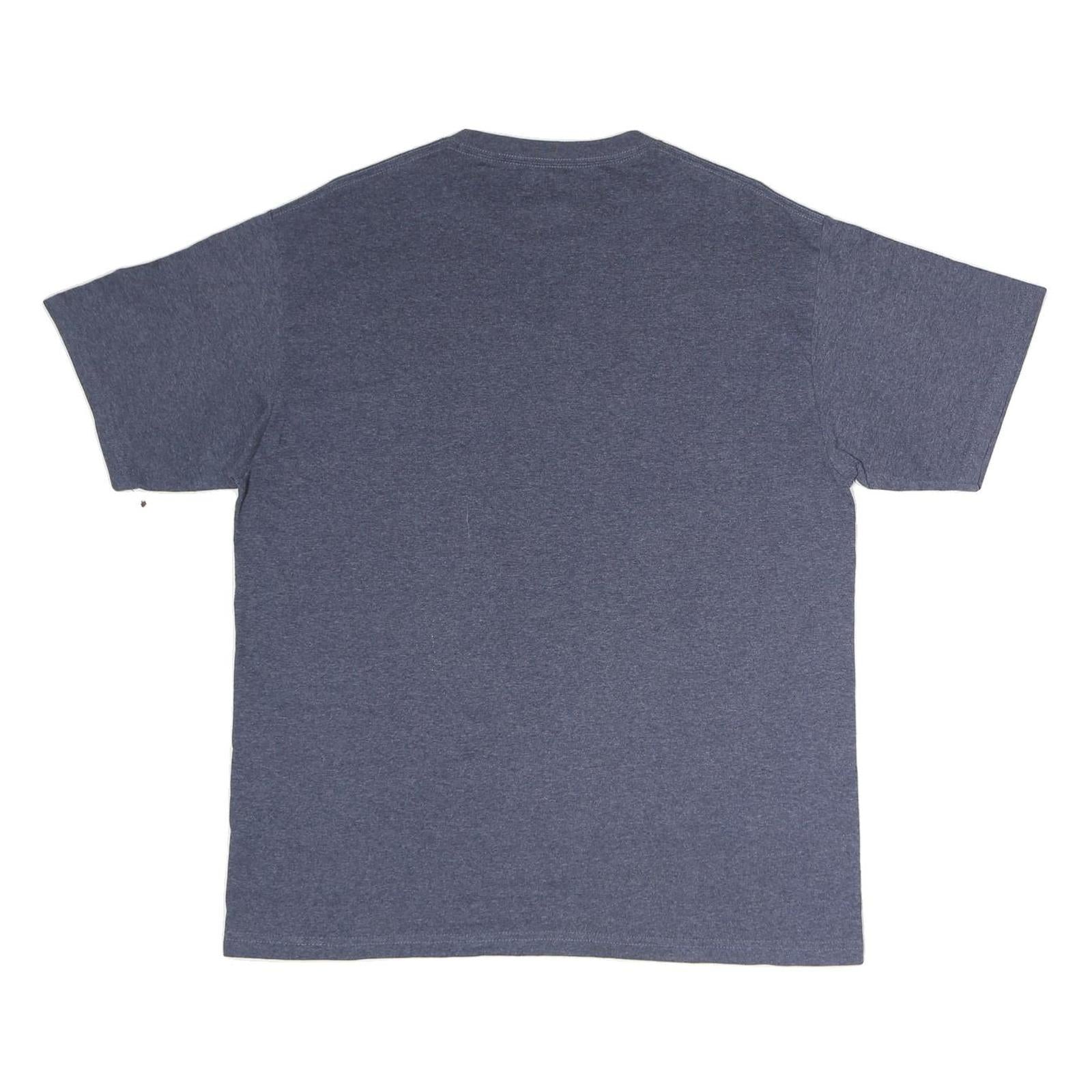 NFL Mens Blue Tennessee Titans Graphic T-Shirt L Short Sleeve Crew Neck American