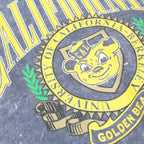 NUTMEG Mens Blue California Crew Neck L Sweatshirt University Graphic Vintage