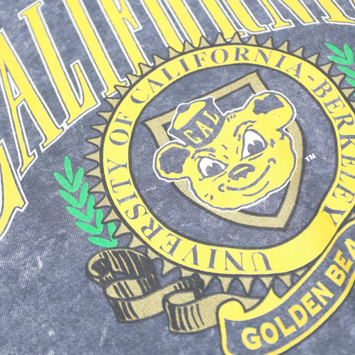 NUTMEG Mens Blue California Crew Neck L Sweatshirt University Graphic Vintage