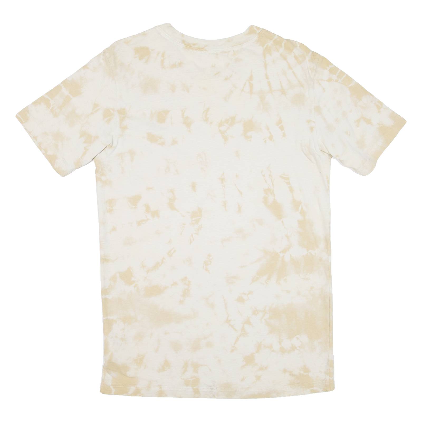 THE NORTH FACE Mens T-Shirt Beige S