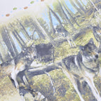 CANADA Womens Cream Sweatshirt M Wolves Printed Cotton Blend Crew Neck Casual
