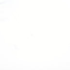 POLO RALPH LAUREN Mens White Long Sleeve Plain M Cotton Polo Shirt Classic Fit