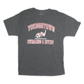 CHAMPION Mens Grey Youngstown Swimming & Diving Graphic T-Shirt L Short Sleeve