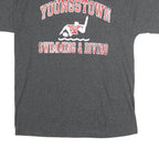 CHAMPION Mens Grey Youngstown Swimming & Diving Graphic T-Shirt L Short Sleeve