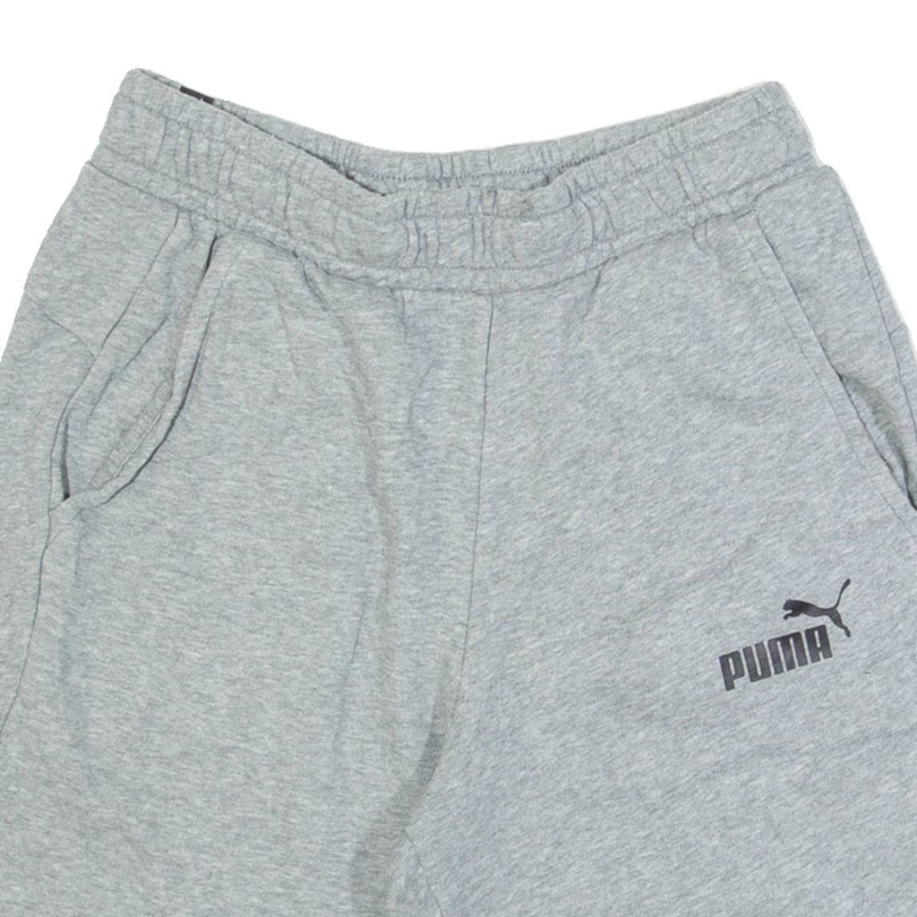 PUMA Mens Casual Shorts Grey S W26