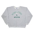 CHAMPION Wisconsin Lutheran Warriors Mens Sweatshirt Grey XL