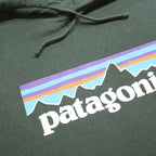 PATAGONIA Womens Green Pullover Hoodie M Cotton Blend Casual Outdoor Sweatshirt