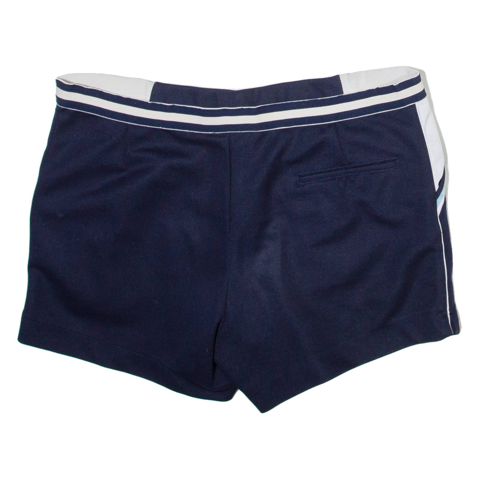 PIERRE L'AMOUR Womens Casual Shorts Blue XL W36