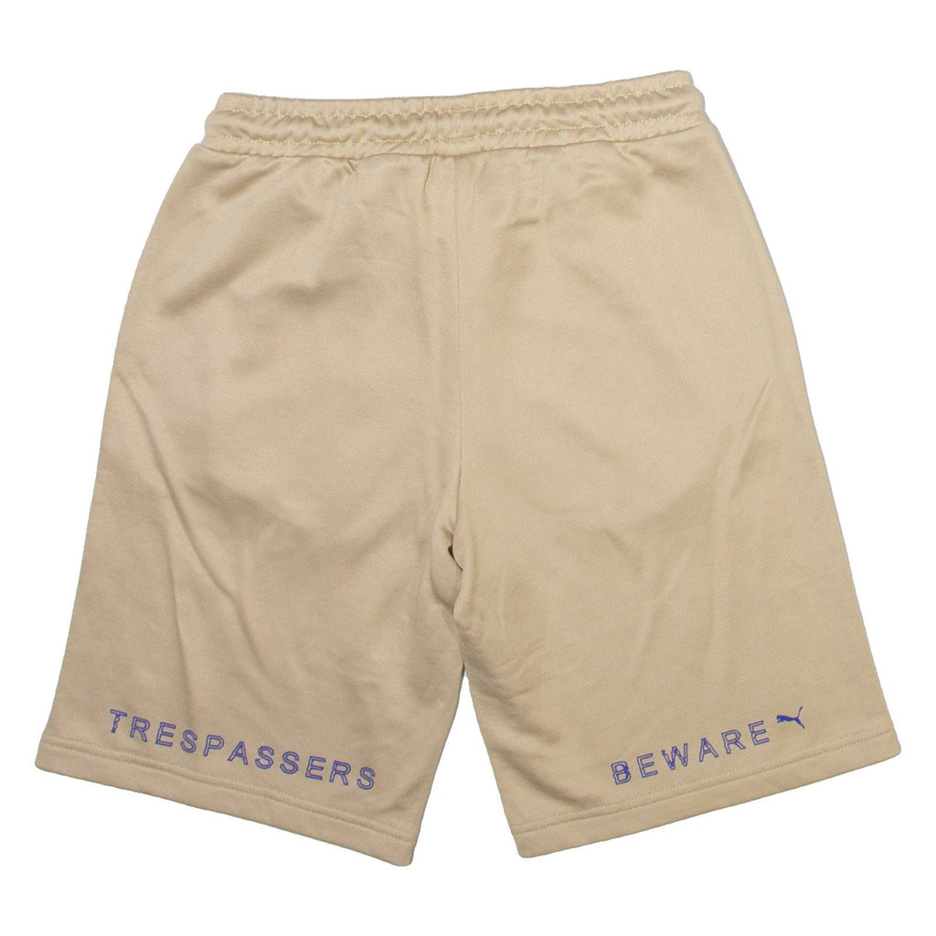 PUMA Mens Casual Shorts Gold XS W26