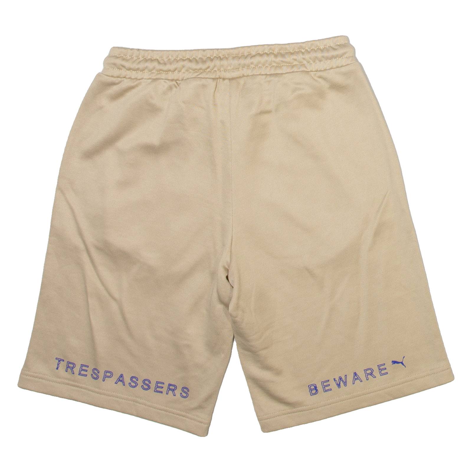 PUMA Mens Casual Shorts Gold XS W26