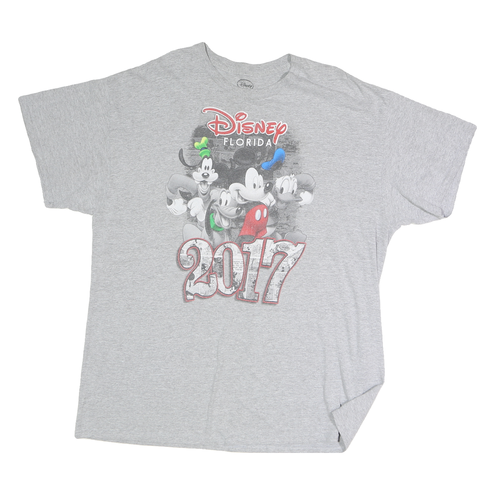 DISNEY Mens Grey Florida 2017 Graphic T-Shirt XL Short Sleeve Crew Neck