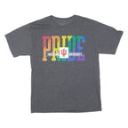 CHAMPION Pride Indiana University Mens T-Shirt Grey USA M