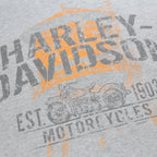 HARLEY DAVIDSON Mens Grey & Orange Graphic T-Shirt XL Short Sleeve Crew Neck