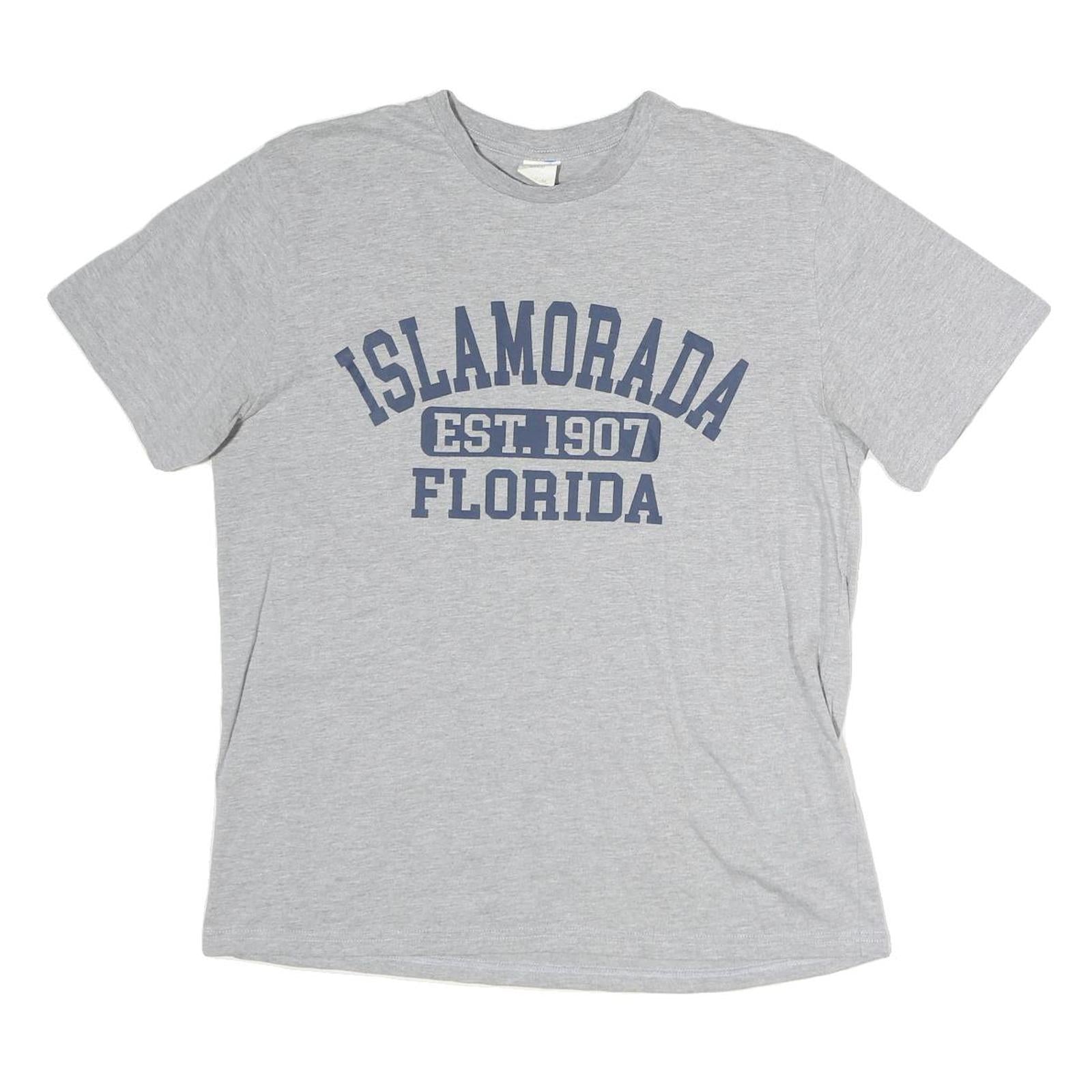 Mens Grey Cotton Graphic T-Shirt M Short Sleeve Crew Neck Casual Everyday