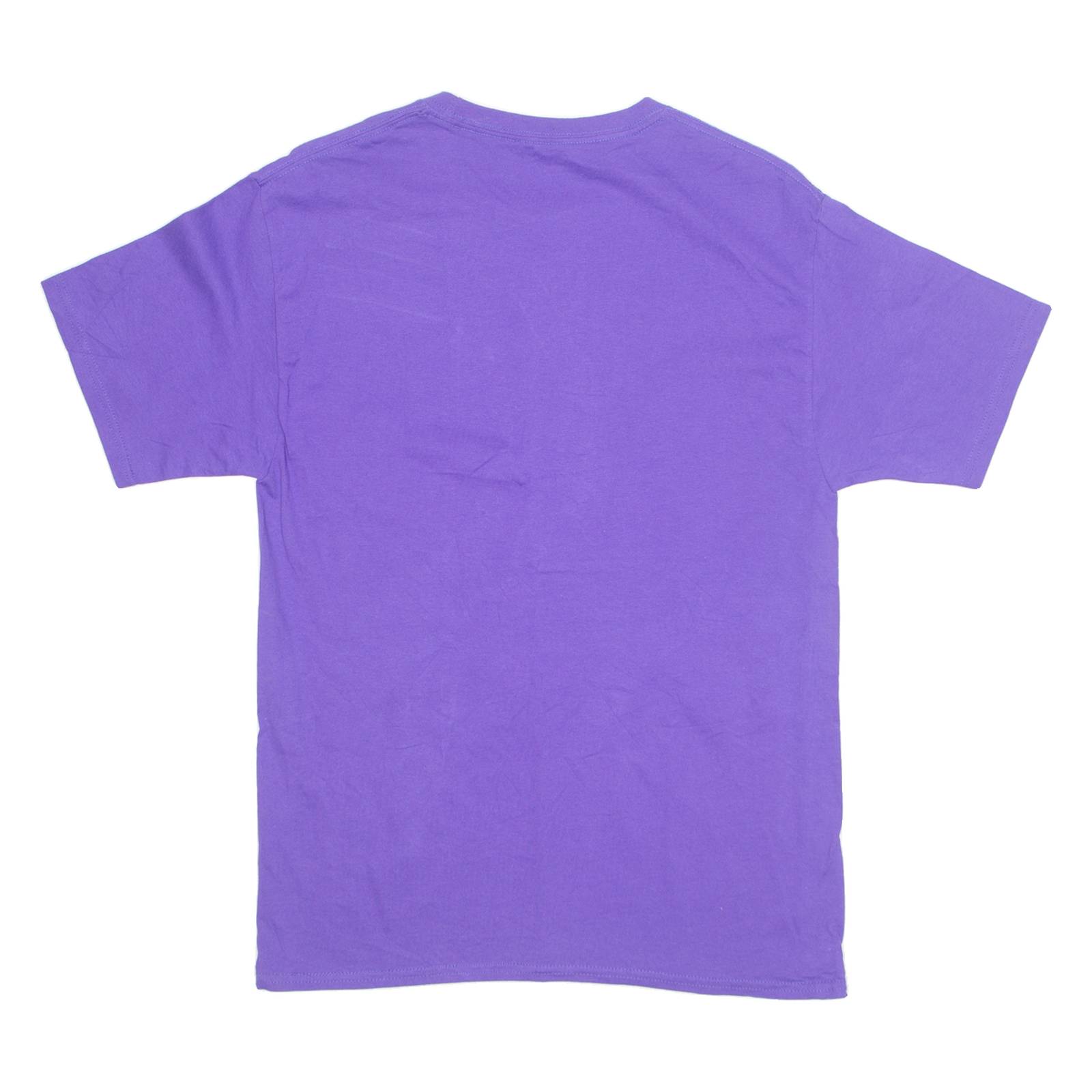 CHAMPION Mens T-Shirt Purple M