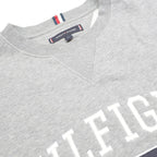 TOMMY HILFIGER Mens Grey Crew Neck L Sweatshirt Cotton Blend Pullover Logo