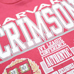 SAVVY Womens Red Harvard Crimson Crew Neck L Sweatshirt Ivy League Print