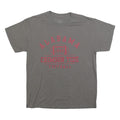 IMAGE ONE Womens Grey Alabama Crimson Tide T-Shirt L Short Sleeve Crew Neck
