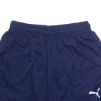 PUMA Mens Sports Shorts Blue L W30