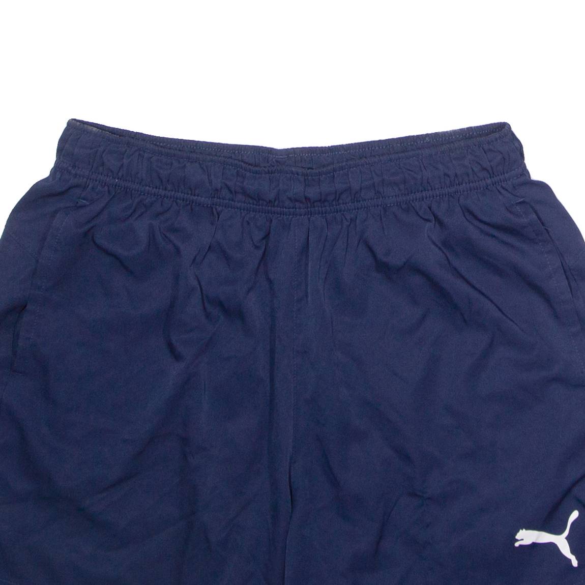 PUMA Mens Sports Shorts Blue L W30