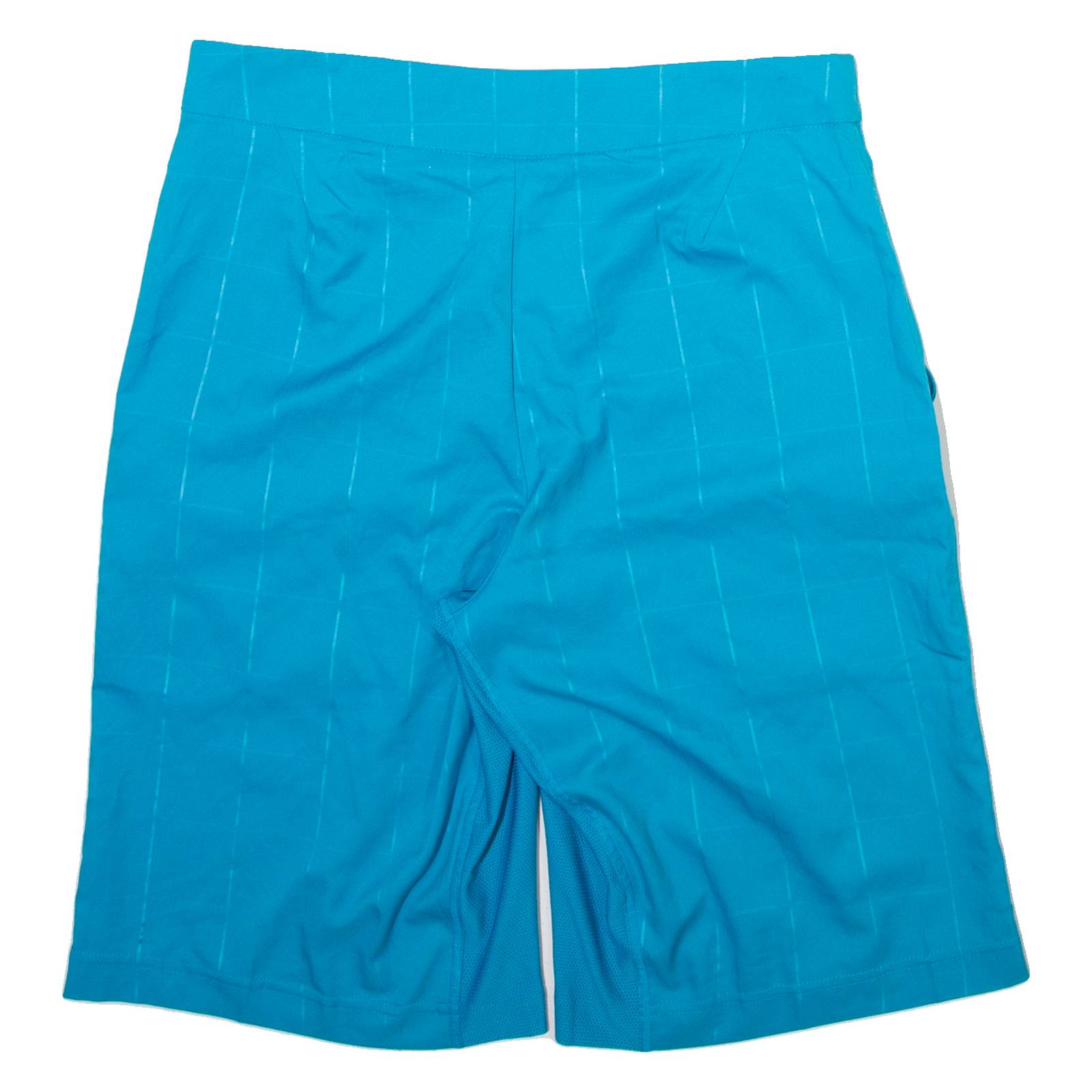 NIKE Mens Casual Shorts Blue Check S W31