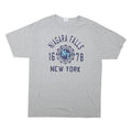 JERZEES Mens Grey Niagara Falls New York Graphic T-Shirt L Short Sleeve Crew